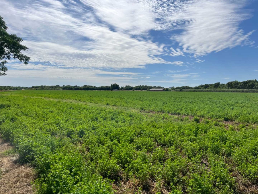 0 Bedroom Property for Sale in Middelpos Northern Cape